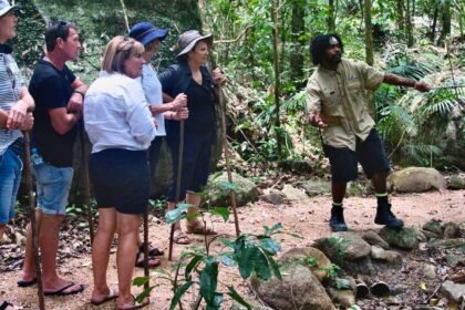 BlueFire Wilderness Therapy Reviews